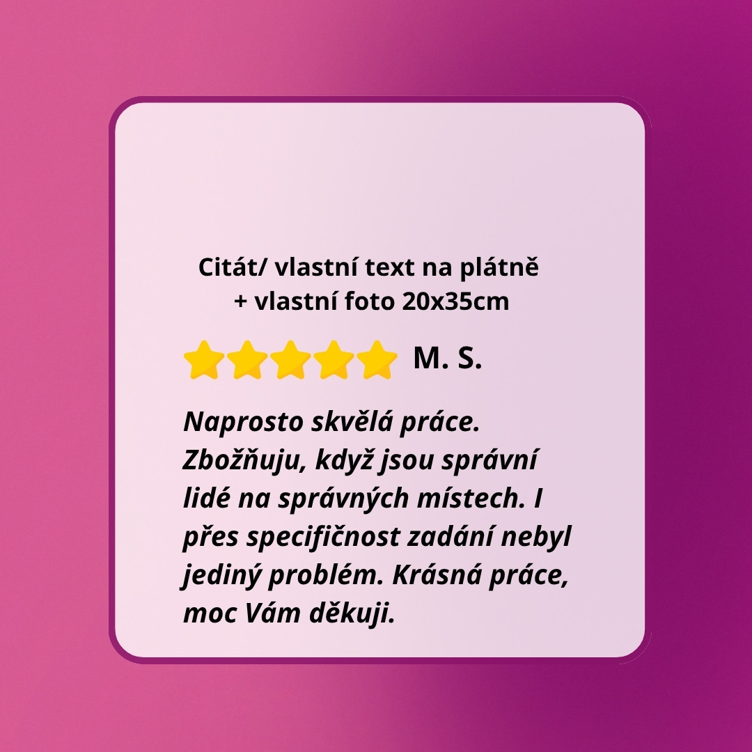 recenze-web-s textem